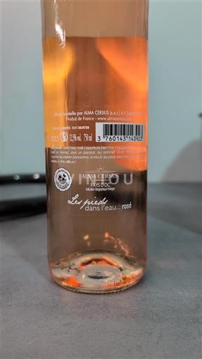 Languedoc-Roussillon Pays d'Oc Alma Cersius Les Pieds dans l'eau 2023