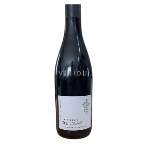 Languedoc och Roussillon Hérault La Mélodie De L'âme 2022