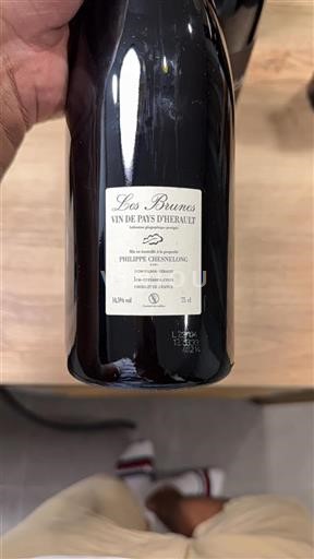 Vin Rouge sec Les Brunes Philippe Chesnelong 2021 France Languedoc AOC