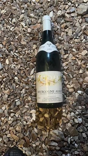 Burgundy Bourgogne Aligoté Les Vins Georges Duboeuf 1991