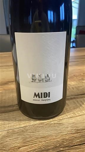 Vin Rouge sec Midi 2020 France Vallée de la Loire Saumur-champigny AOC