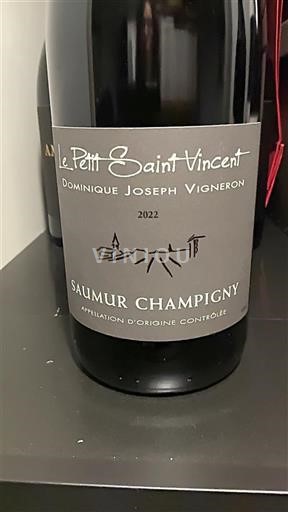 Dolina Loare Saumur-champigny Le Petit Saint Vincent 2022