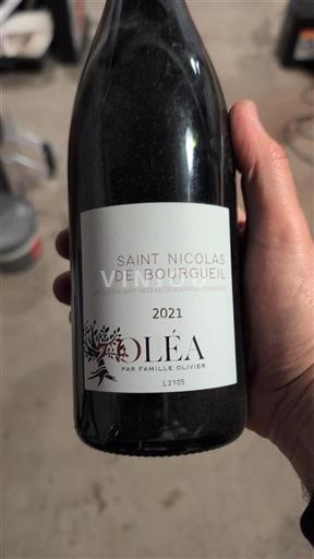 Loire-dalen Saint-Nicolas-De-Bourgueil Famille Olivier Oléa 2021