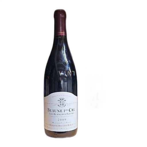 Burgund Nicht spezifiziert Premier Cru Domaine Doussotrollet Les Blanches Fleurs 2009