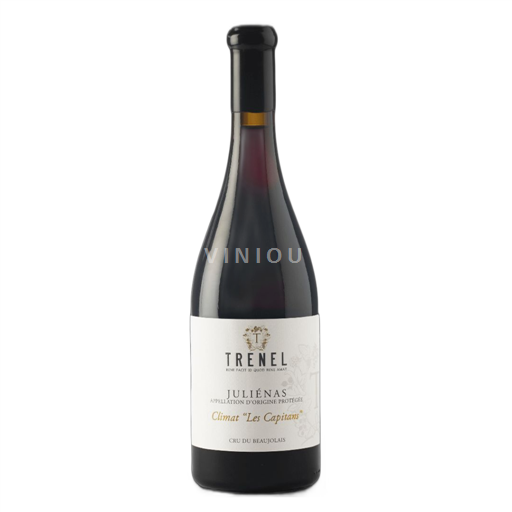 Vin Rouge sec Climat 'Les Capitans' Trenel 2019 France Beaujolais Juliénas AOC