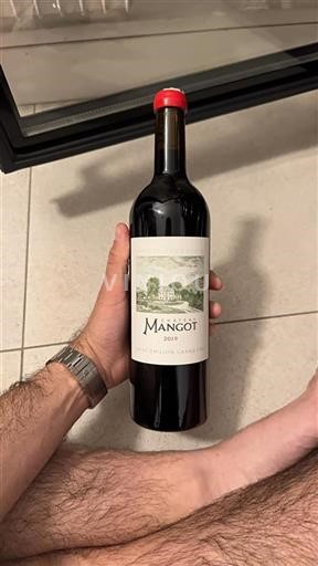 Burdeos Saint-Émilion Gran Cru Grand Cru Château Mangot 2019
