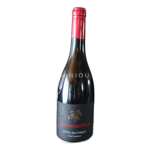 Loirevallei Côtes-d'Auvergne Domaine Pierre Goigoux 2021