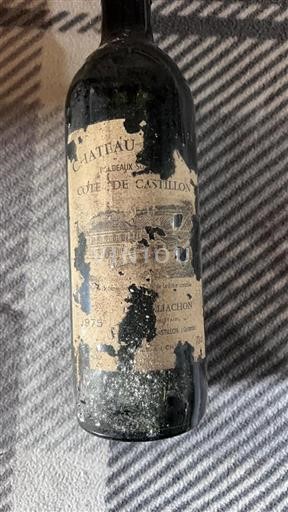 Bordeaux Ospecificerad Château Cote De Castillon 1975