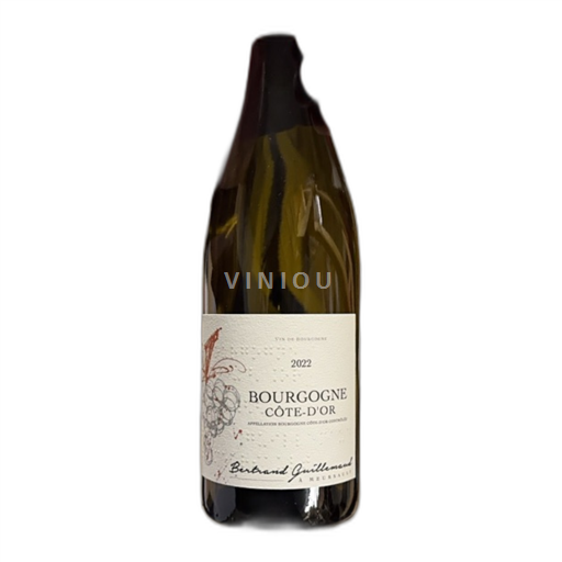 Borgogna Borgogna Côte d'Or Bertrand Guillaumaud 2022