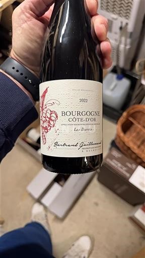 Bourgogne Bourgogne Côte d'Or Bertrand Guillemard Les Durots 2022