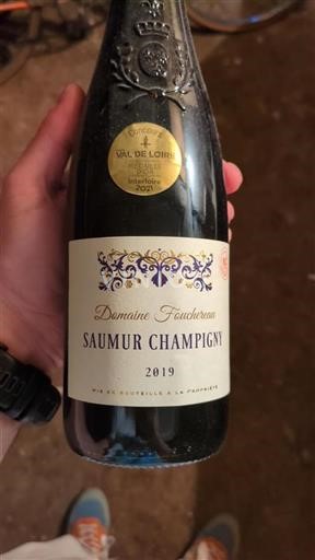 Vin Rouge sec Domaine Fouchereau 2019 France Vallée de la Loire Saumur-champigny AOC