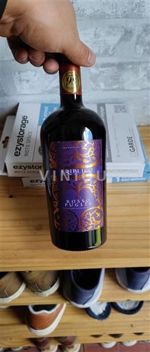 Puglia Không được chỉ định Triplico 2022