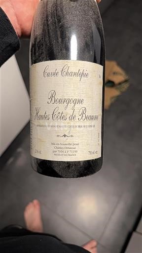 Borgoña Hautes Côtes de Beaune Charles Delatour Chantepie 1991