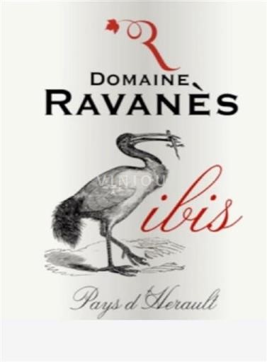Languedoc ja Roussillon Murvielin rinteet Domaine Ravanès L’Ibis Rouge 2019