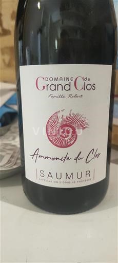 Loirevallei Saumur Domaine Grand Clos Ammonite du Clos 2021