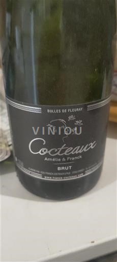 Loirevallei Niet gespecificeerd Cocteaux Bulles de Fleuray Niet-geïntegreerd