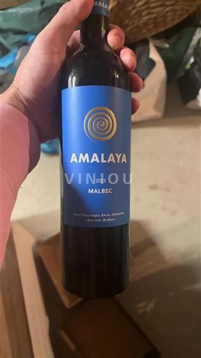 Vin Rouge sec Amalaya 2023 Argentine Salta
