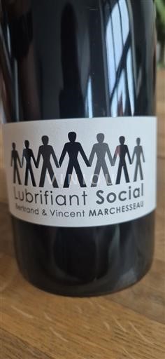 Wines Rouge sec Lubrifiant Social Bertrand & Vincent Marchesseau 2023 France Loire Valley Unspecified AOC