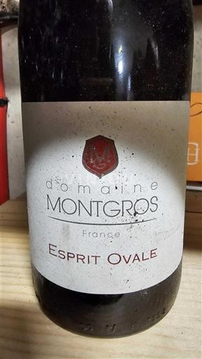 Languedoc Saint-Chinian Montgros Esprit Ovale Sin añada