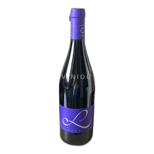 Valle del Rodano Crozes-Hermitage Laurent Combier combier 2023