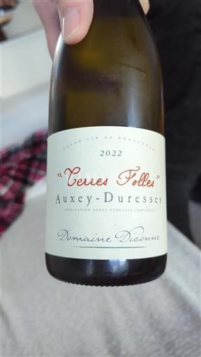 Burgundija Auxey-Duresses Domaine Dionne Terres Folles 2022