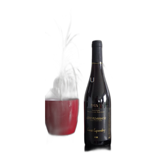 Loire Valley Côte Roannaise Lucas Lapandéry Vieilles Vignes 2023