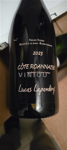 Loire Valley Côte Roannaise Lucas Lapandéry Vieilles Vignes 2023