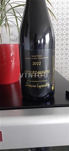 Loire Valley Côte Roannaise Domaine Lapandéry Vieilles Vignes 2022