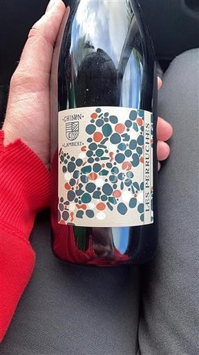 Loirevallei Chinon Lambert Les Perruches Niet-geïntegreerd