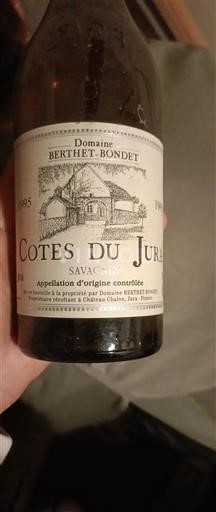 Jura Côtes du Jura Domaine Berthetbondet 1995