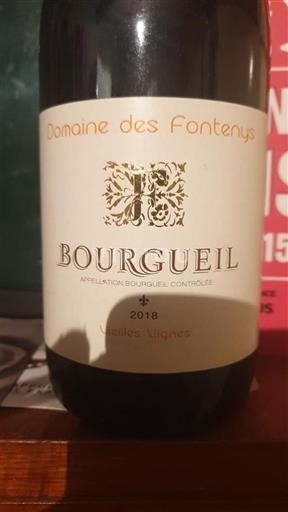 Loire Valley Bourgueil Domaine Des Fontenys Vieilles Vignes 2018