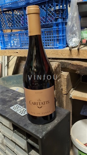 Valle del Rodano Ventoux Via Caritatis Pax in Terra 2022