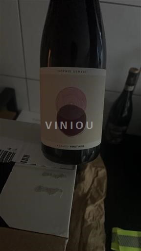 Alsazia Sophie Schaal Senza annata