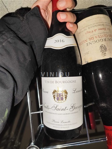 Bourgogne Nuits-saint-georges Pierre Lamotte 2016