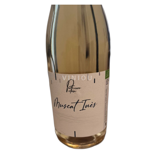 Roussillon Muscat de Rivesaltes Pierre Lelou En VO 2022