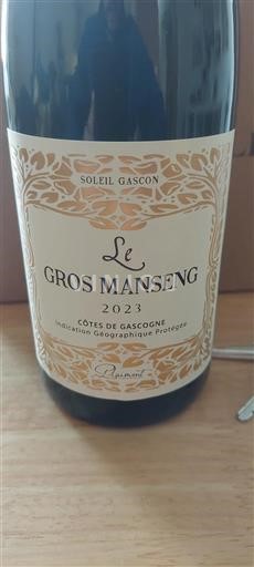 Sudoeste Côtes de Gascogne Soleil Gascon Le Gros Manseng 2023
