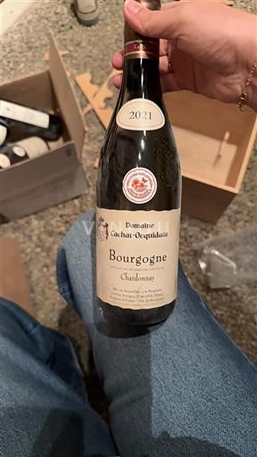 Burgundi Bourgogne Cachatocquidant 2021