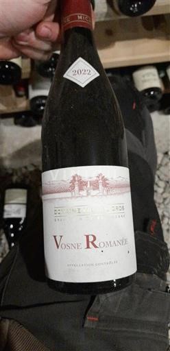 Bourgogne Vosne-romanée Domaine Michel Gros 2022