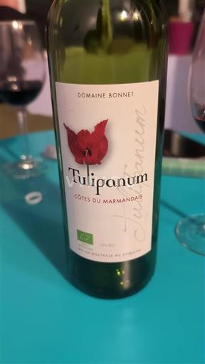 Sud-Ovest Côtes-du-marmandais Domaine Bonnet Tulipanum 2024