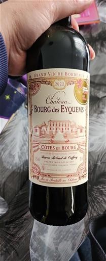 Bordeaux Côtes-de-bourg Château Bourg Des Eyquems 2022