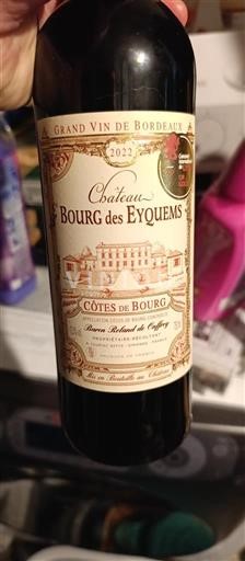 Burdeos Côtes-de-bourg Château Bourg Des Eyquems 2022