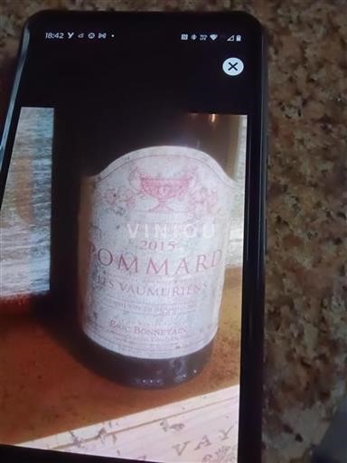 Burgund Pommard Eric Bonnetain Les Vaumuriens 2015