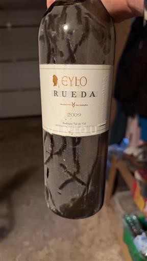 Castilien og León Rueda Bodegas Val De Vid Eylo 2009