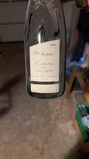 Valle della Loira Coteaux-du-Layon Domaine Terrebrune Les Ruaux 2008