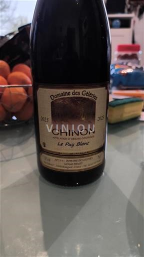 Loiredalen Chinon Domaine Des Geleries Le Puy Blanc 2023