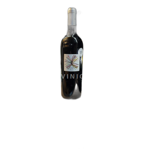 Sudoeste Gaillac Domaine René Rieux L’Hyperbole 2008