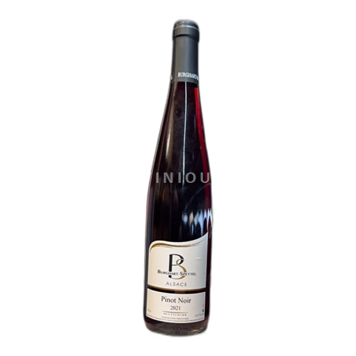 Elsass Pinot Noir Burghartspettel 2021