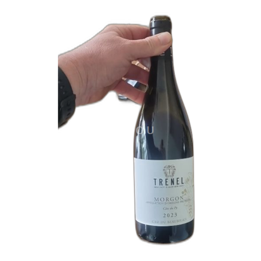 Beaujolais Morgon Trenel Côte du Py 2023