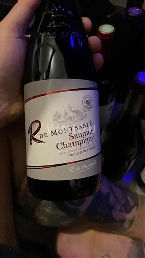 Údolí Loiry Saumur-Champigny R. De Montsable Neročník