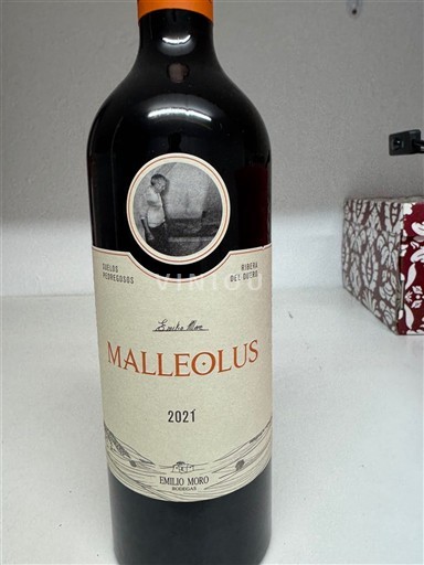 Castille et León Ribera del Duero Emilio Moro Malleolus 2021